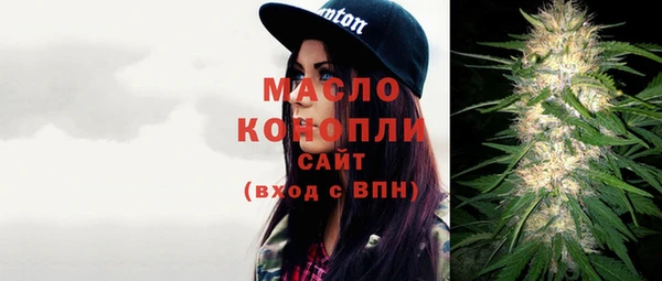 твердый Заводоуковск