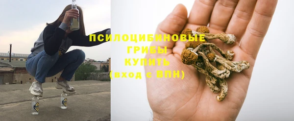 твердый Заводоуковск