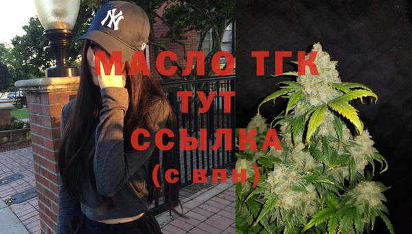 твердый Заводоуковск