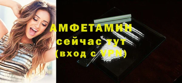 твердый Заводоуковск
