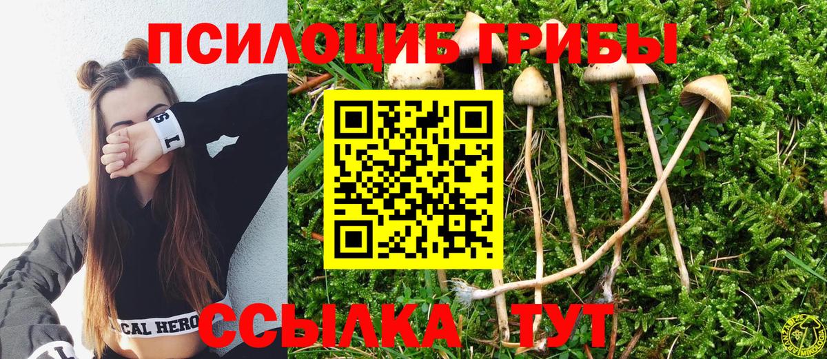 Псилоцибиновые грибы GOLDEN TEACHER Сланцы