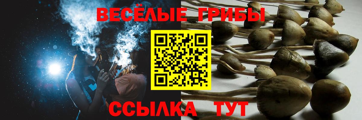 купить наркоту  Псилоцибиновые грибы MAGIC MUSHROOMS  Вход с VPN  Сланцы 