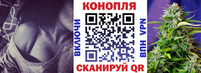 магазин    Сланцы  Марихуана OG Kush 
